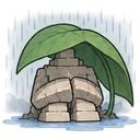 淋雨